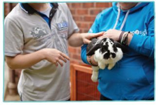 Care staff showing a rabbit to a your care client